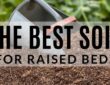 What Type Of Soil Is Best For Raised Beds