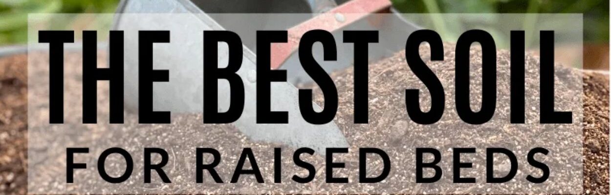 What Type Of Soil Is Best For Raised Beds